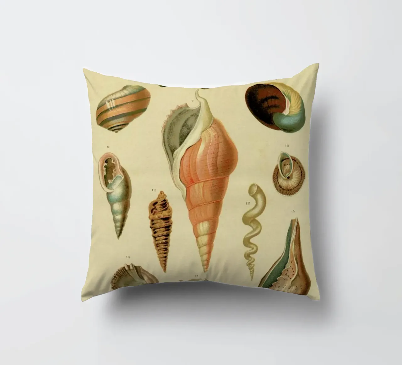 Mollusc Shells cuscino da Flora & Fauna