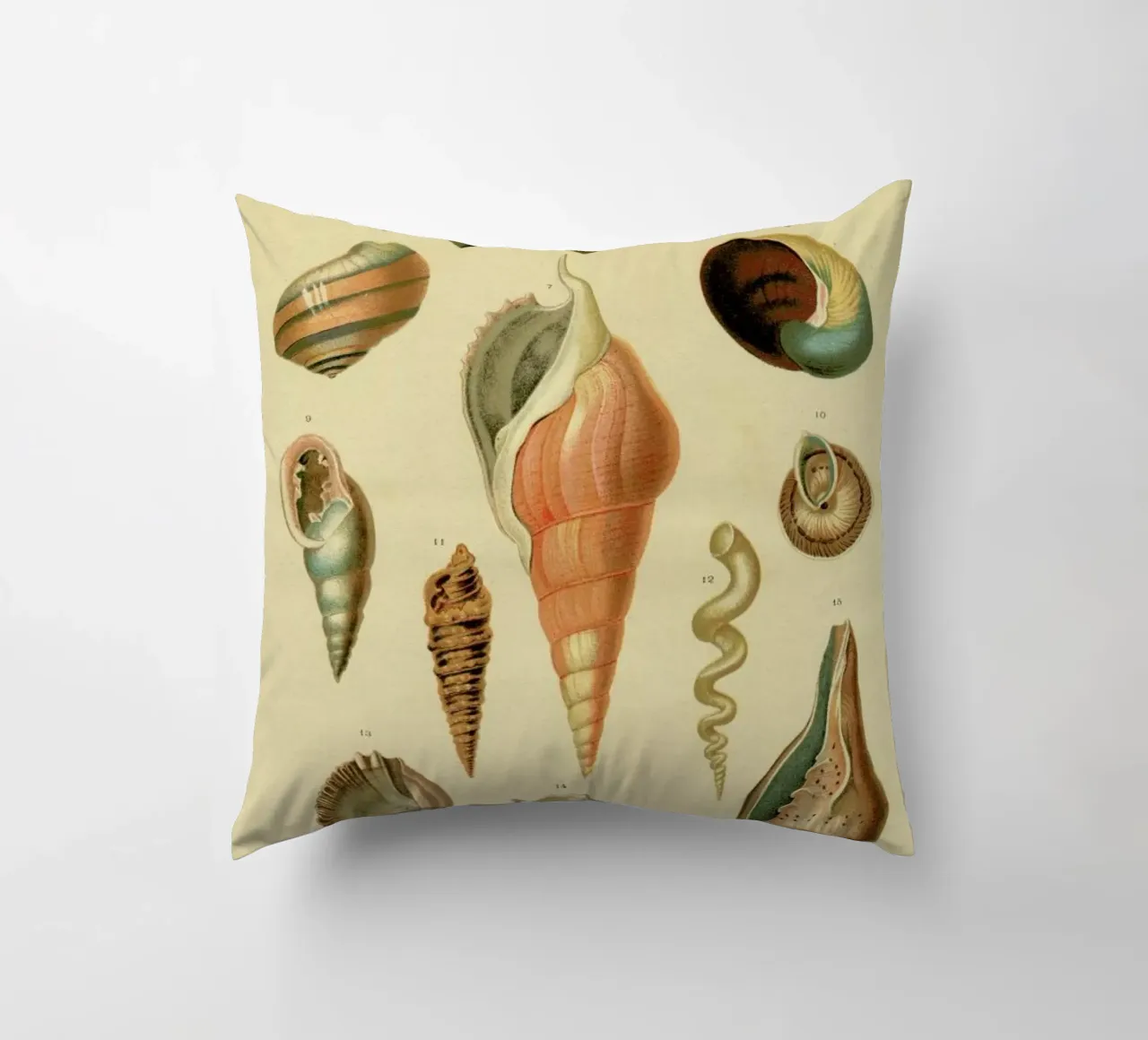 Mollusc Shells cuscino da Flora & Fauna