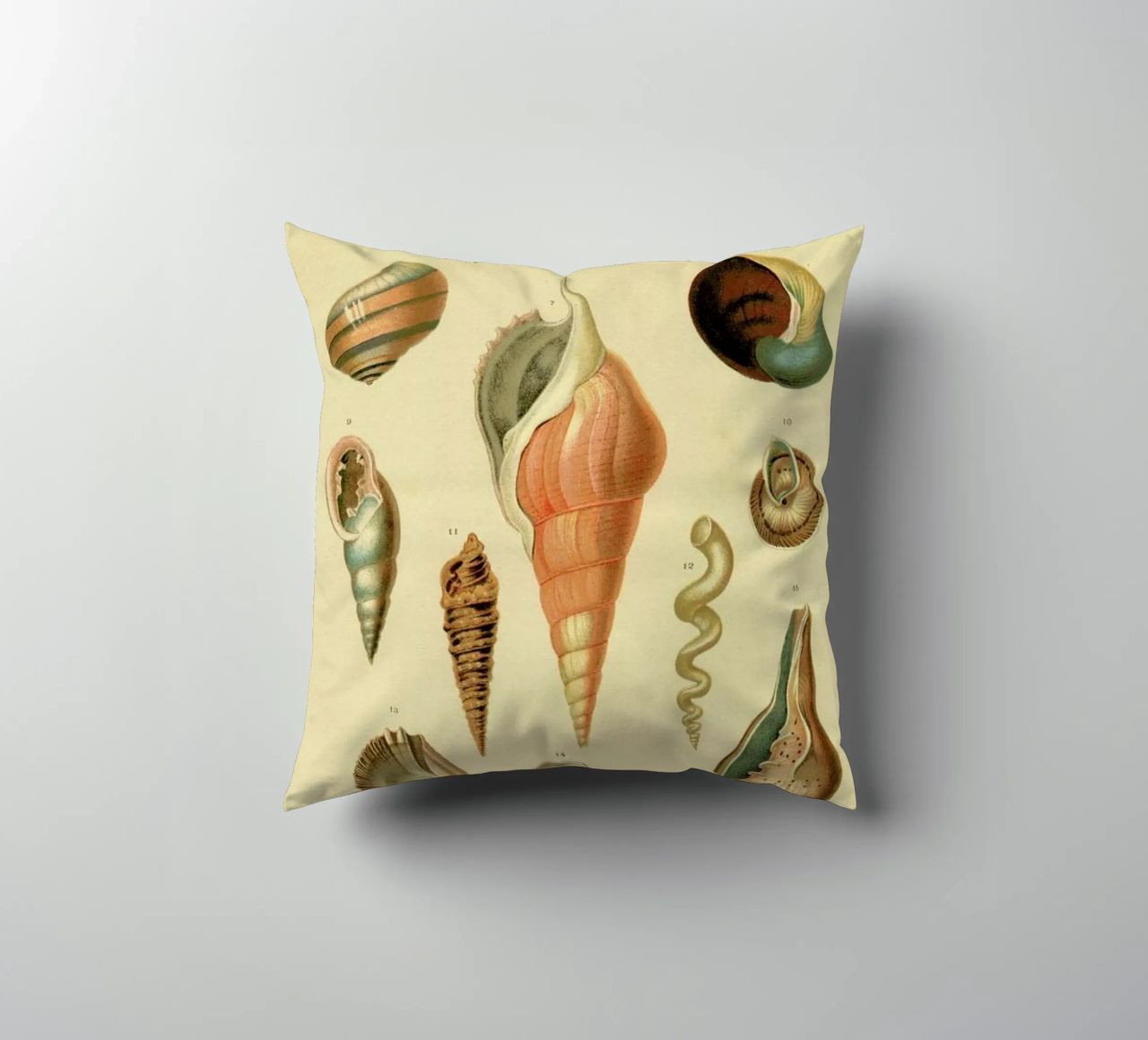 Mollusc Shells cuscino da Flora & Fauna