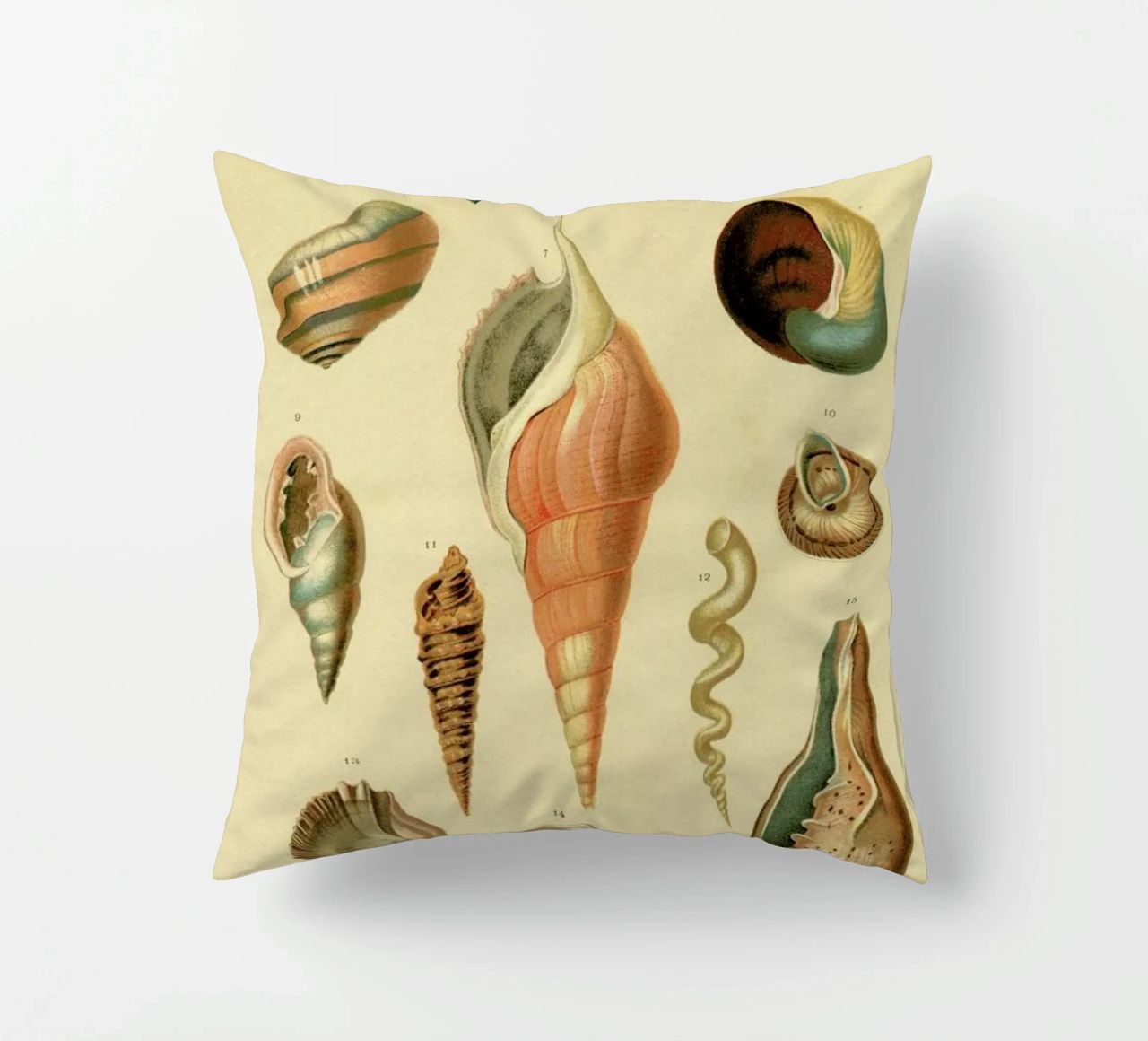 Mollusc Shells cuscino da Flora & Fauna