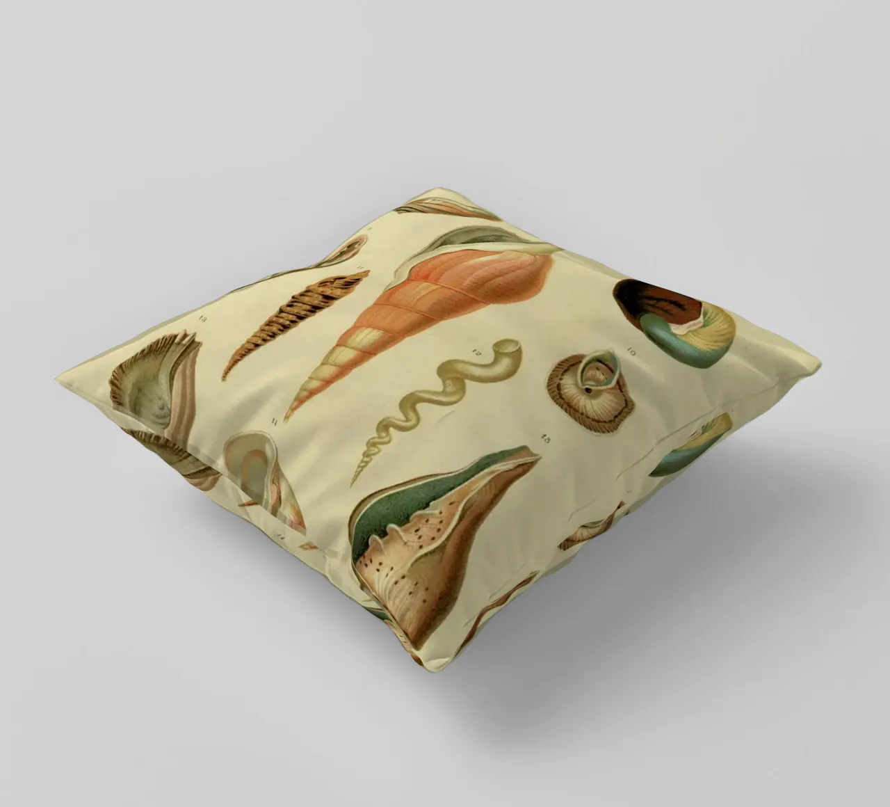 Mollusc Shells cuscino da Flora & Fauna