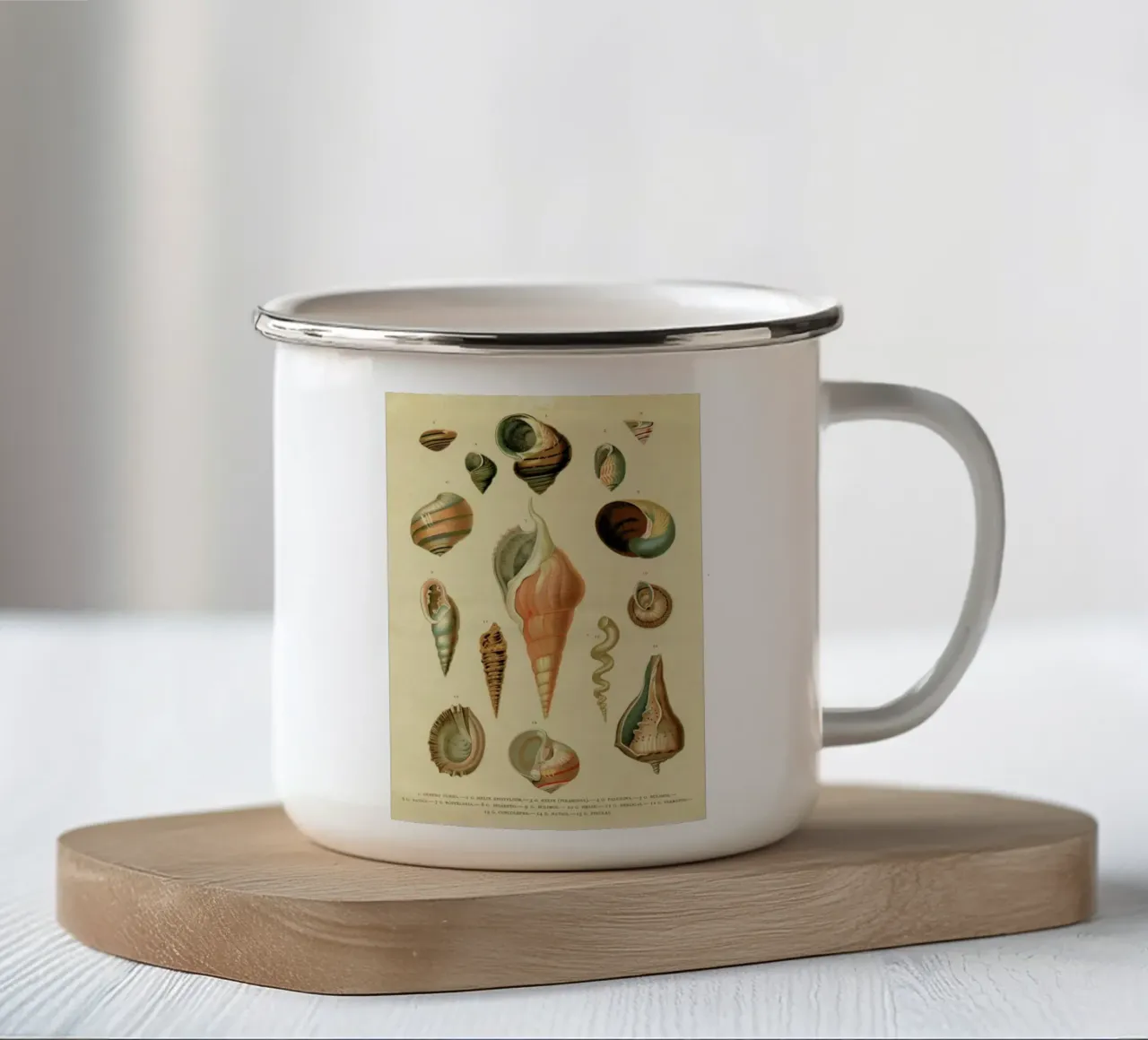 Mollusc Shells taza de esmalte de Flora & Fauna