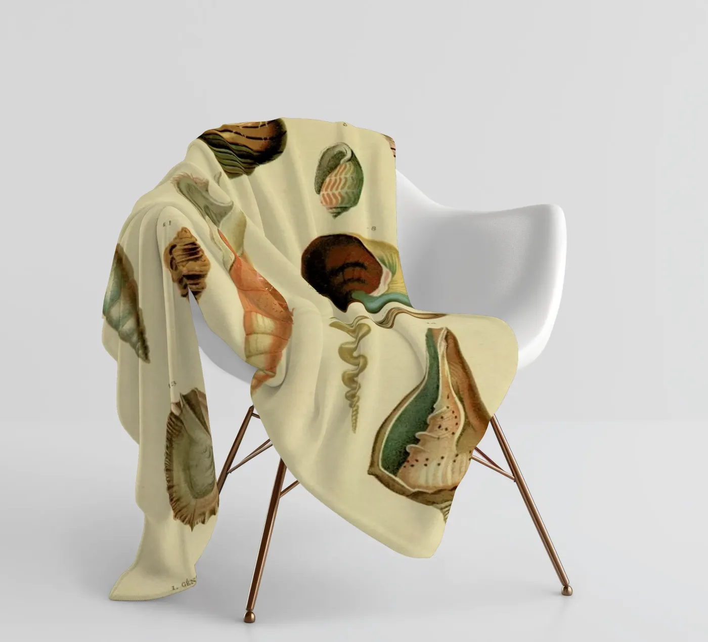 Mollusc Shells fleece blanket by Flora & Fauna