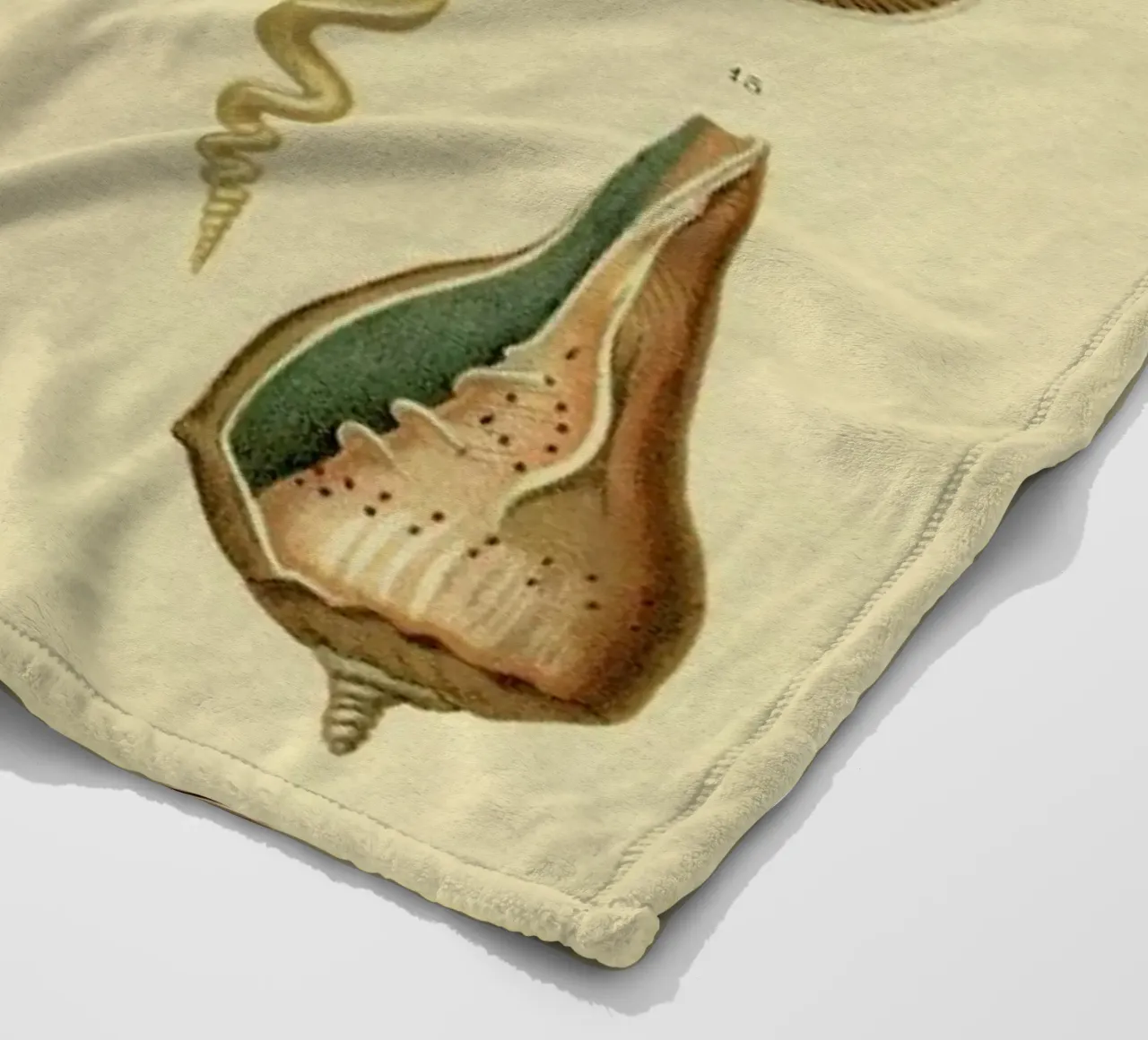 Mollusc Shells Fleecedecke von Flora & Fauna