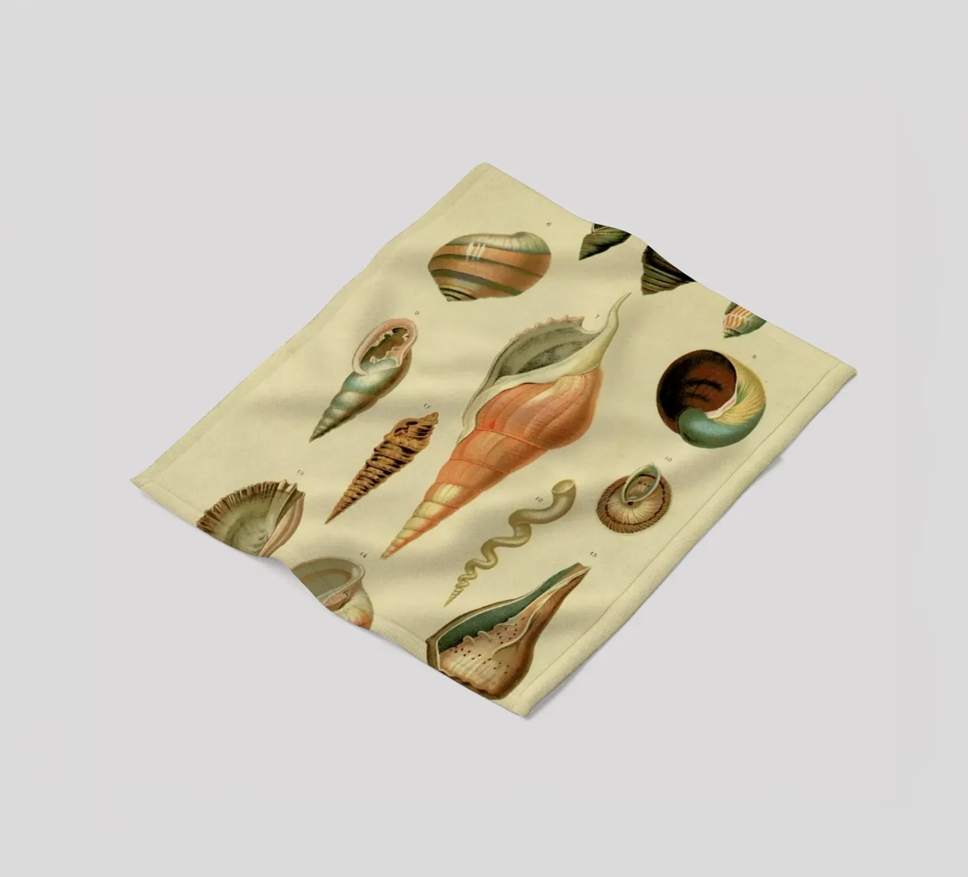 Mollusc Shells fleece blanket by Flora & Fauna