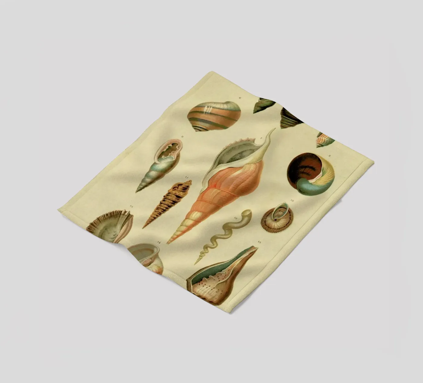 Mollusc Shells Fleecedecke von Flora & Fauna