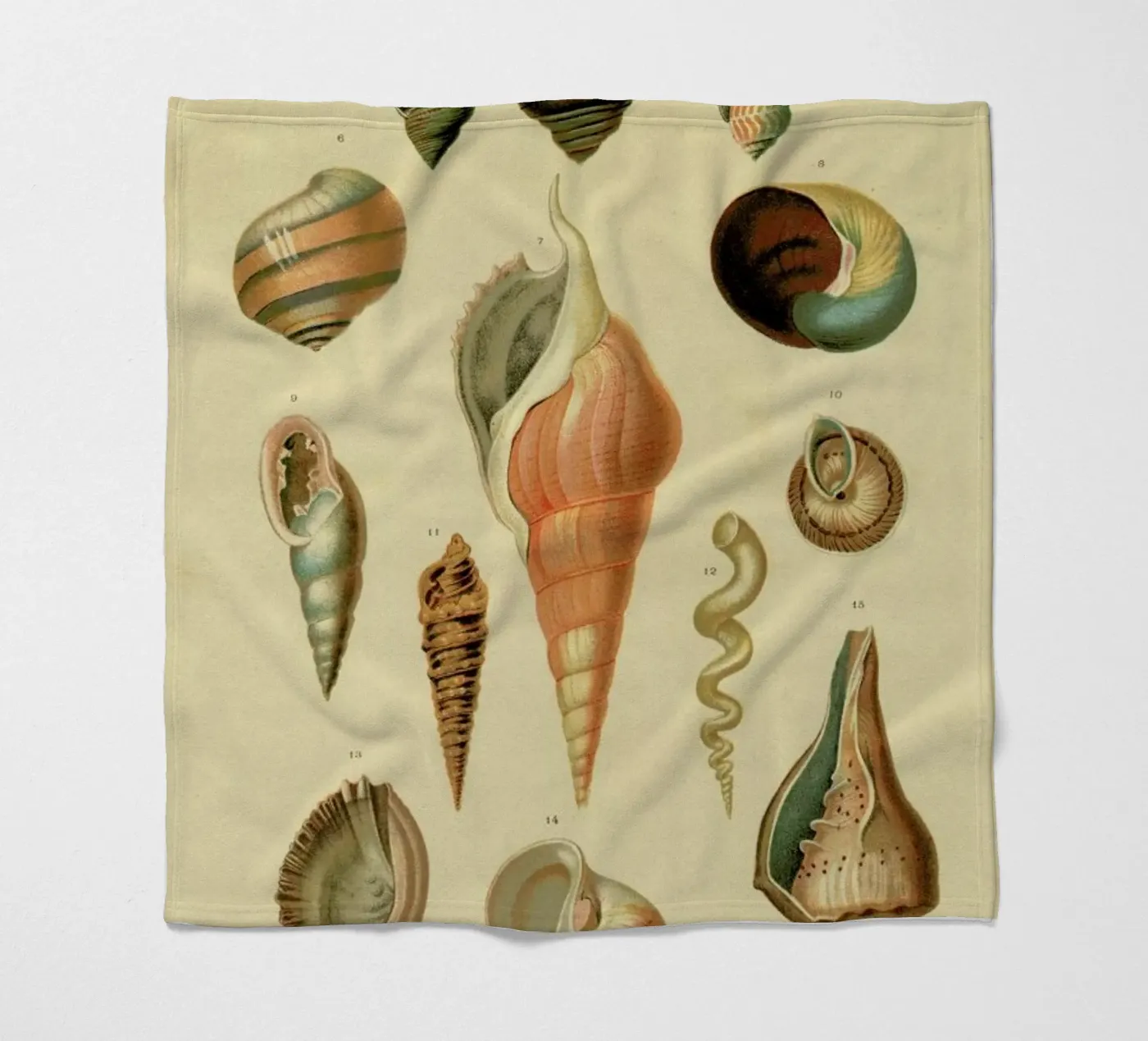 Mollusc Shells fleece blanket by Flora & Fauna