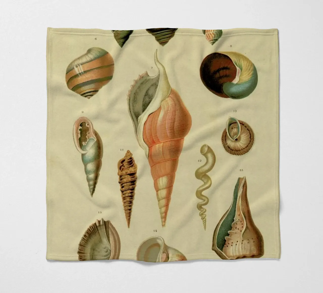 Mollusc Shells Fleecedecke von Flora & Fauna
