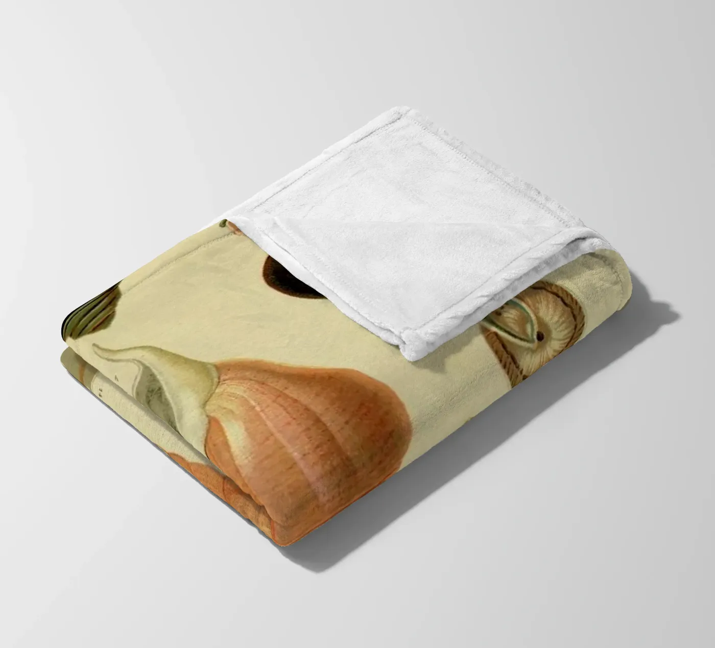 Mollusc Shells fleece blanket by Flora & Fauna