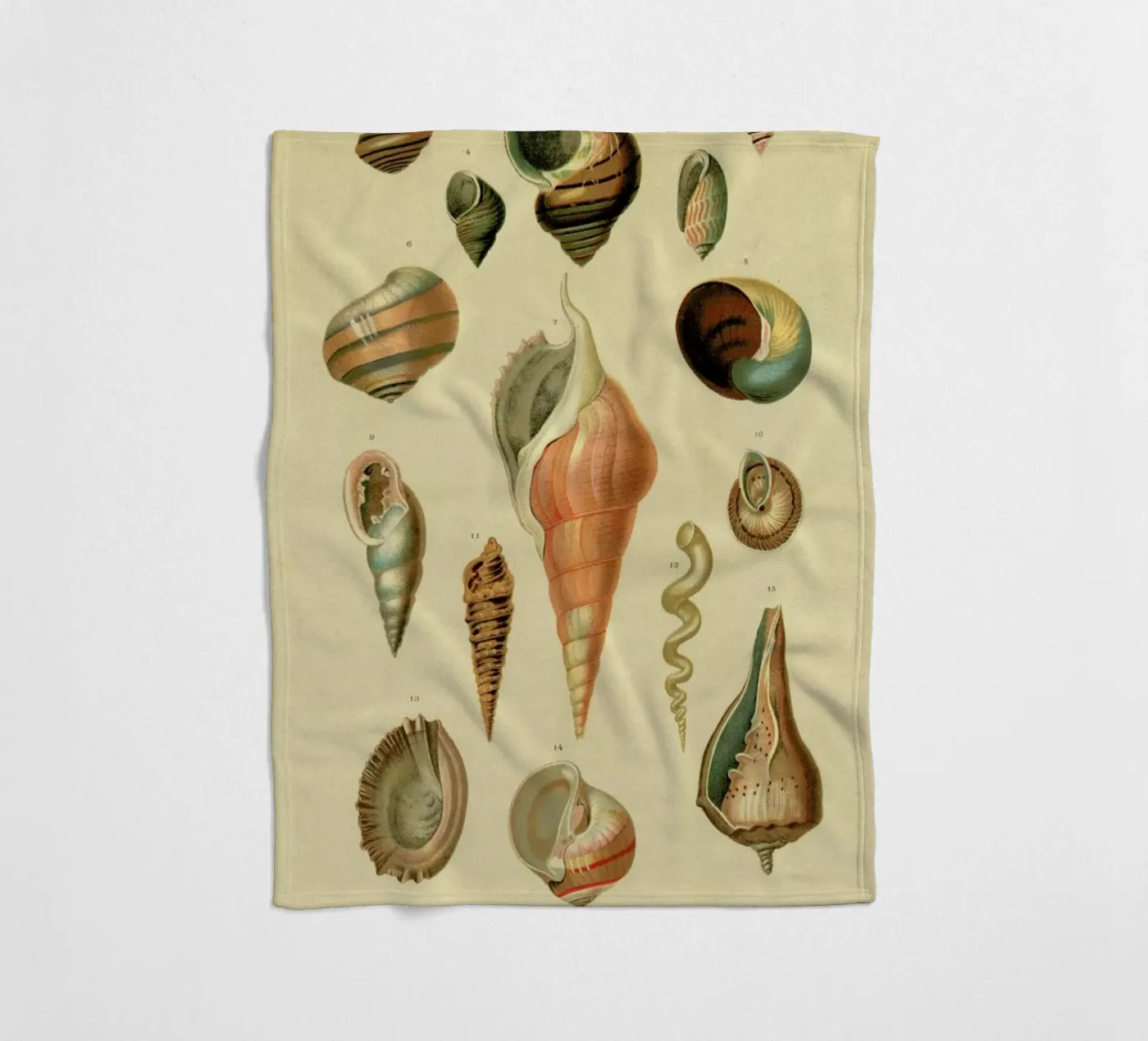 Mollusc Shells fleece blanket by Flora & Fauna