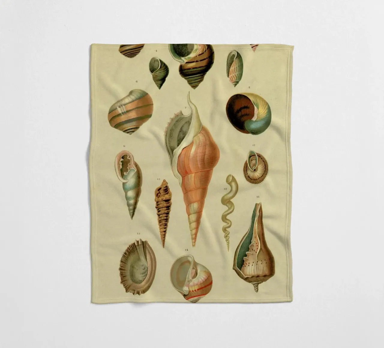 Mollusc Shells Fleecedecke von Flora & Fauna