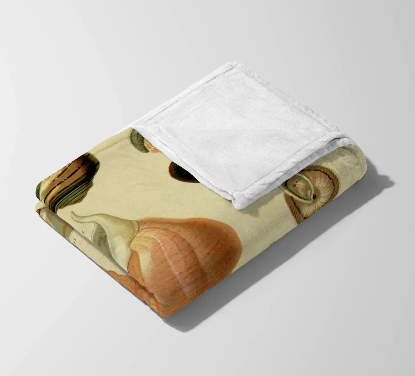 Mollusc Shells fleece blanket by Flora & Fauna
