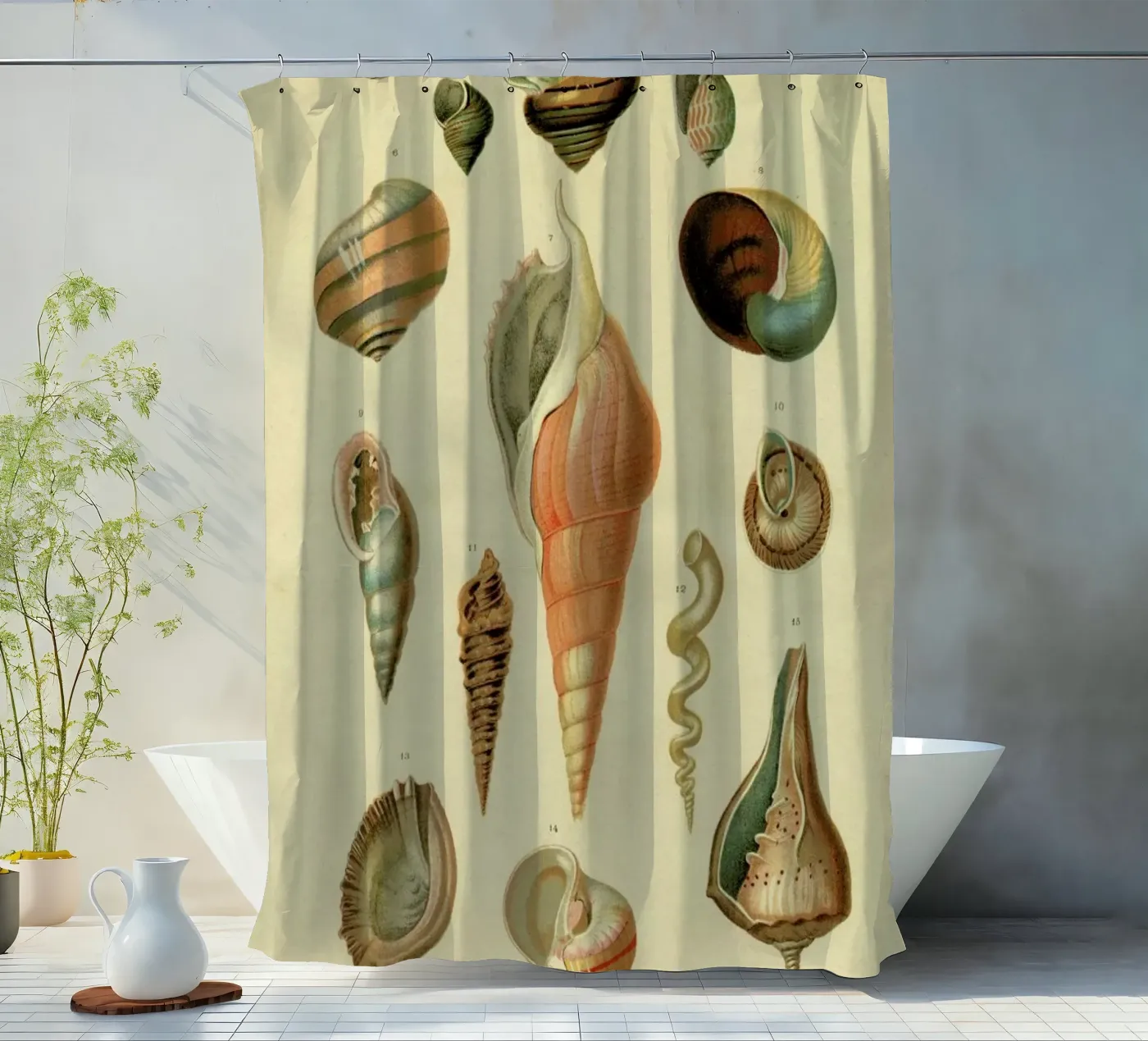 Mollusc Shells douchegordijn van Flora & Fauna