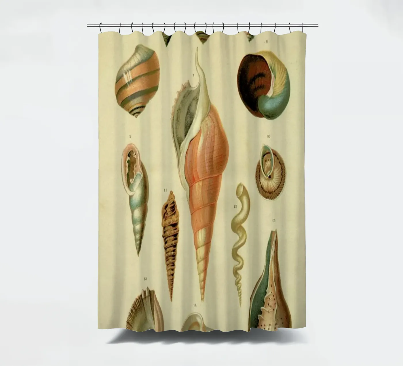 Mollusc Shells douchegordijn van Flora & Fauna