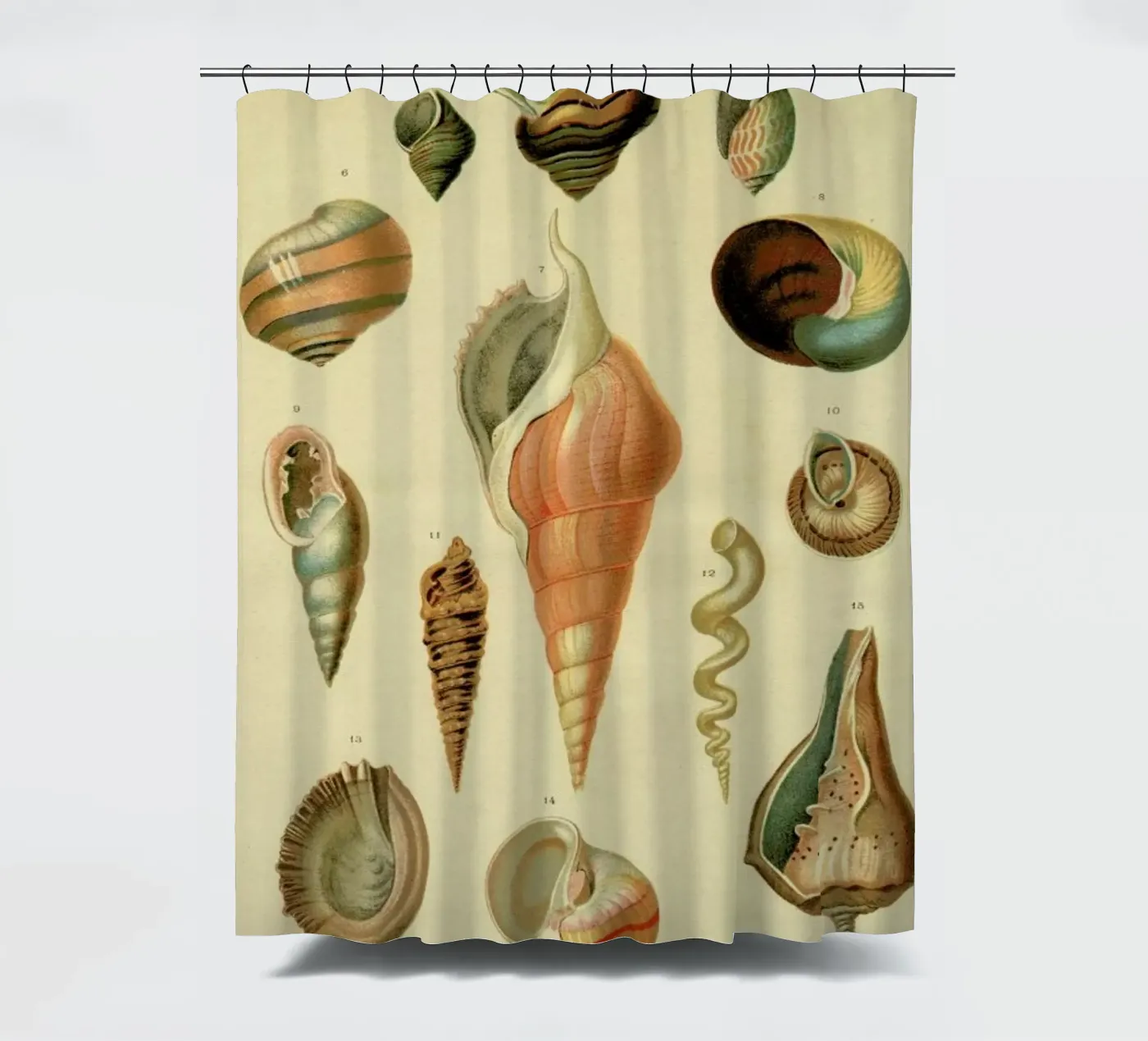 Mollusc Shells douchegordijn van Flora & Fauna