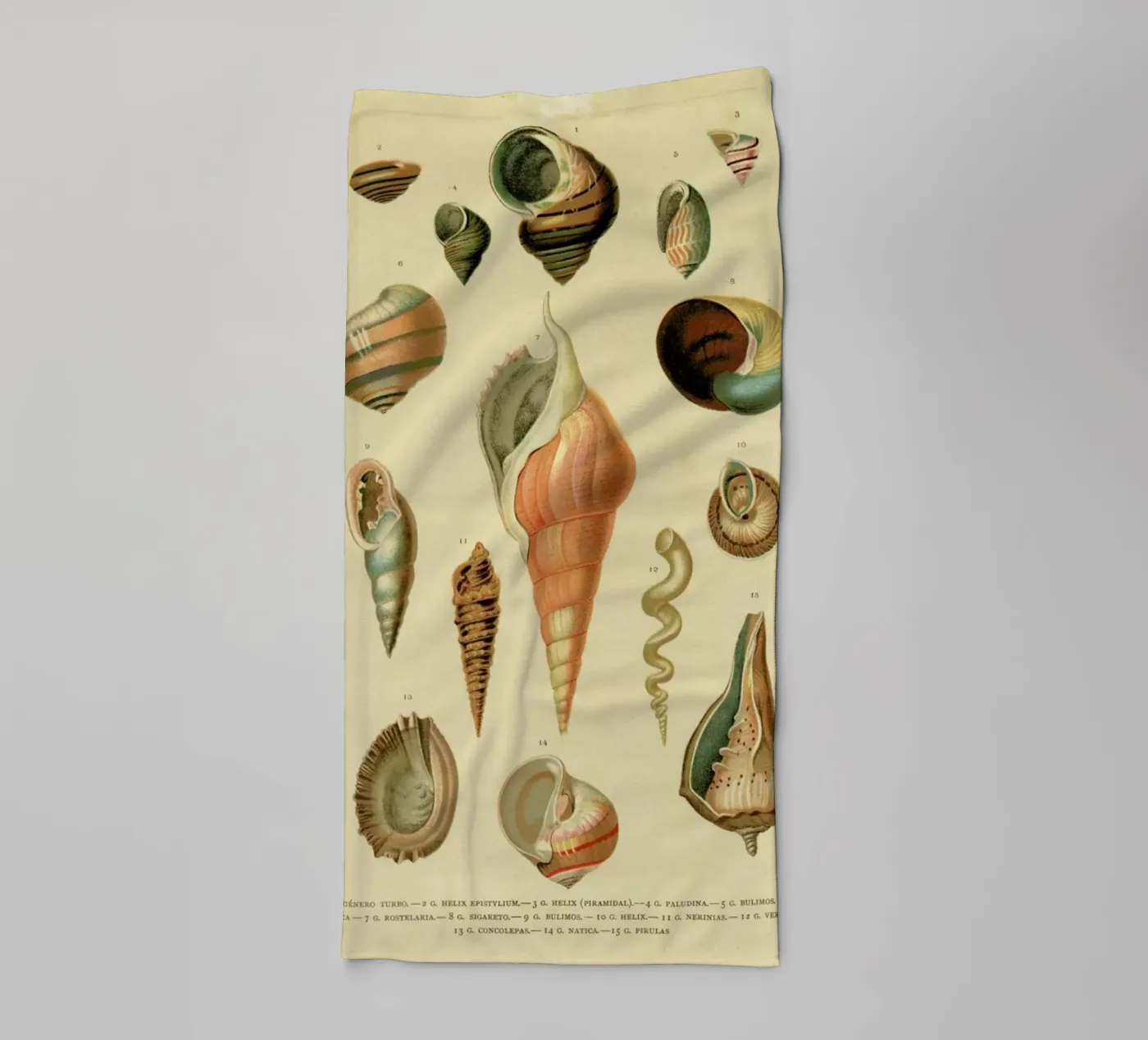 Mollusc Shells badhanddoek van Flora & Fauna