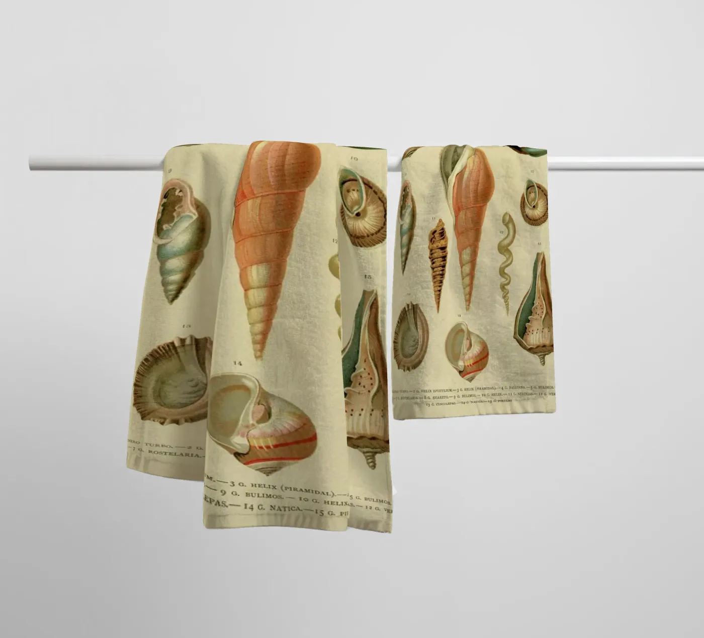 Mollusc Shells badhanddoek van Flora & Fauna