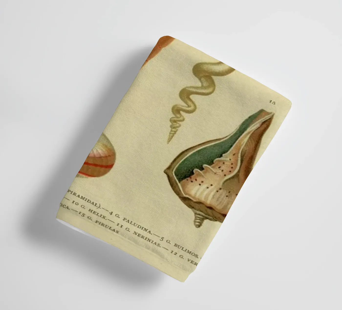 Mollusc Shells badhanddoek van Flora & Fauna