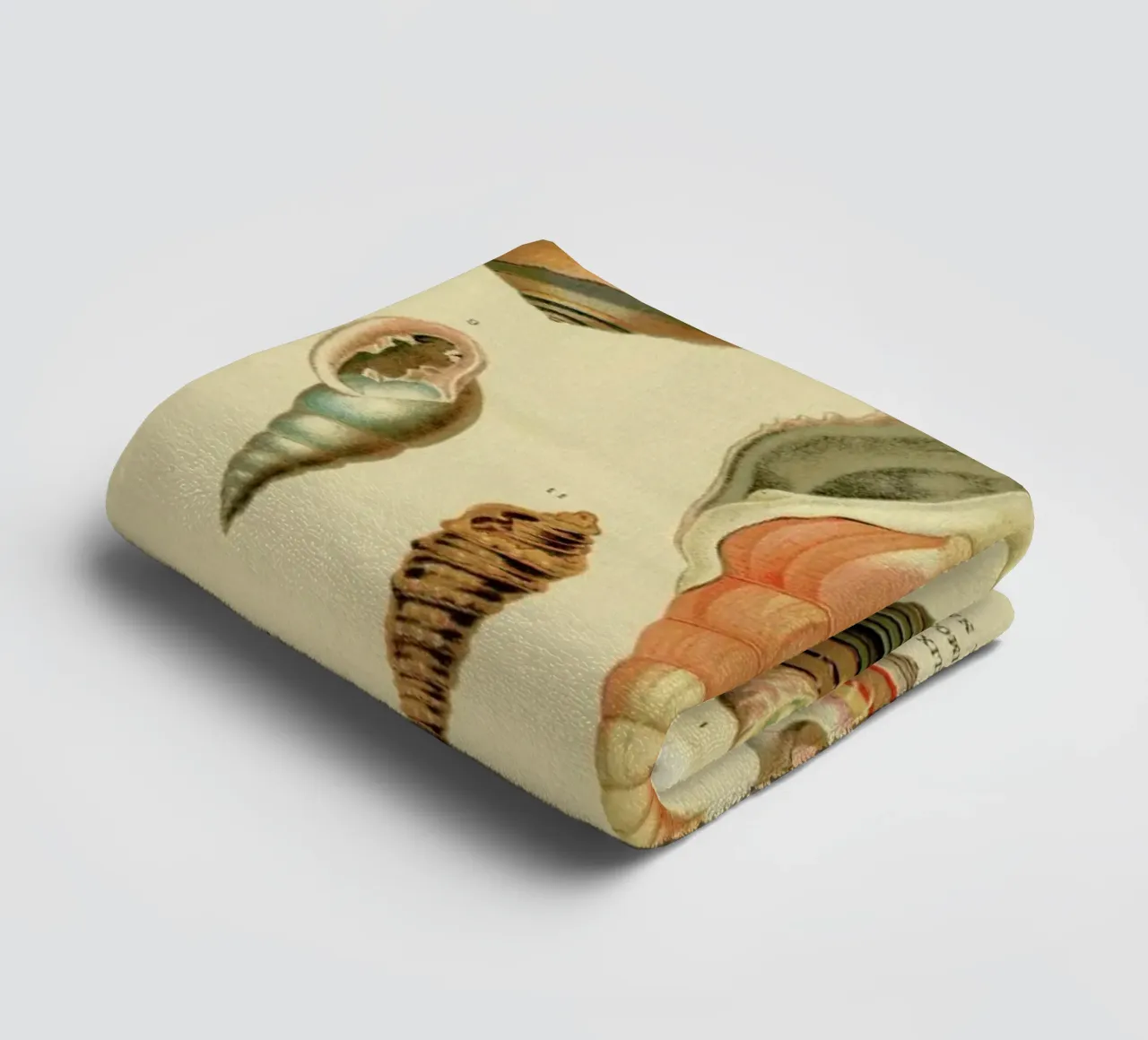 Mollusc Shells asciugamano da bagno da Flora & Fauna