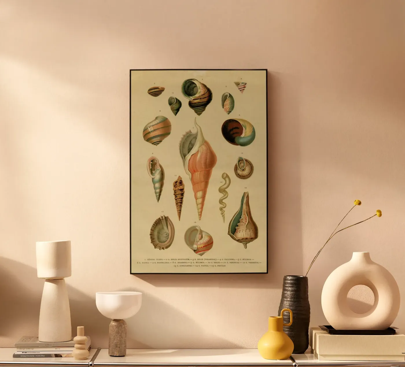 Mollusc Shells alluminio dibond da Flora & Fauna