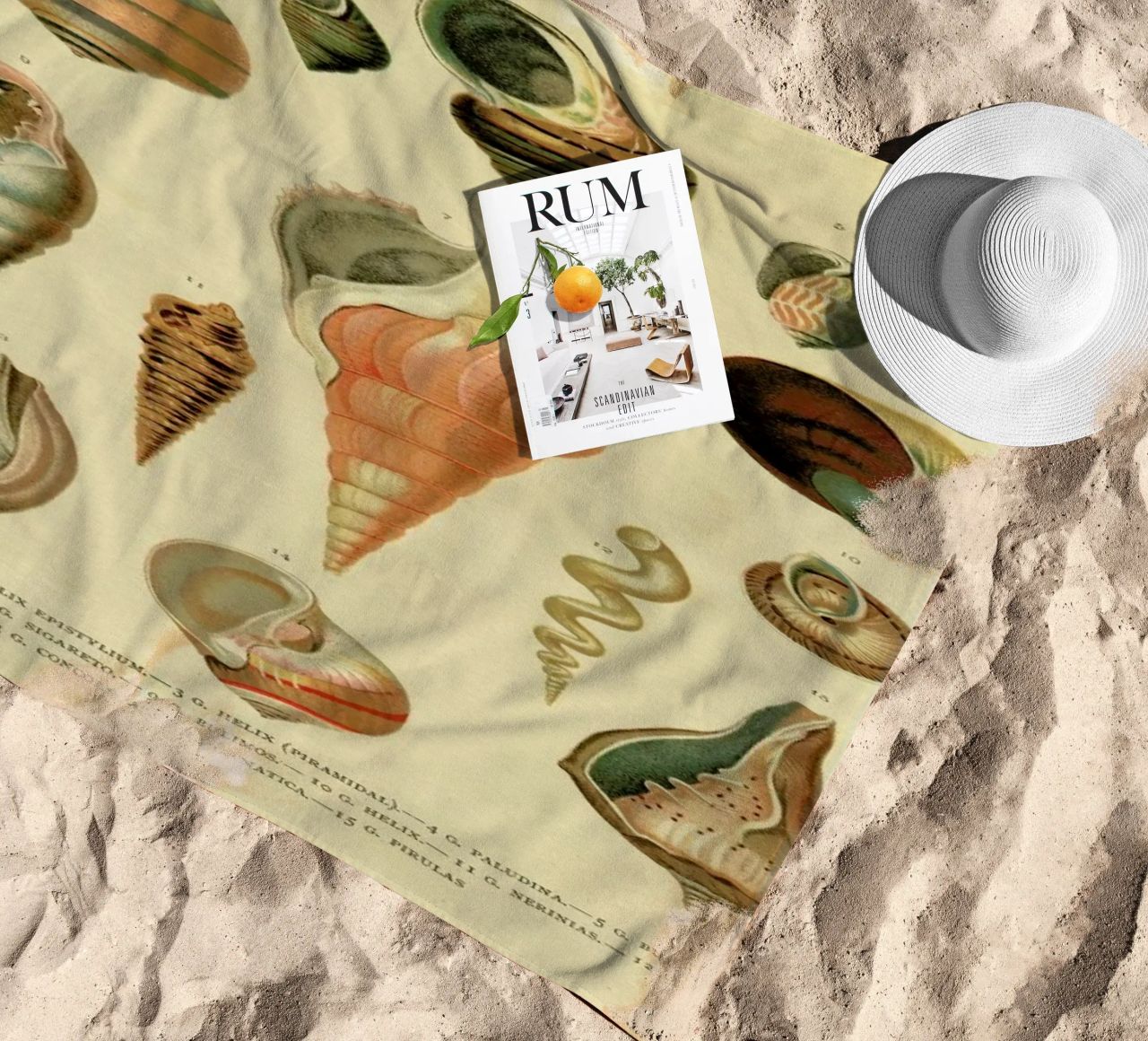 Mollusc Shells telo mare da Flora & Fauna