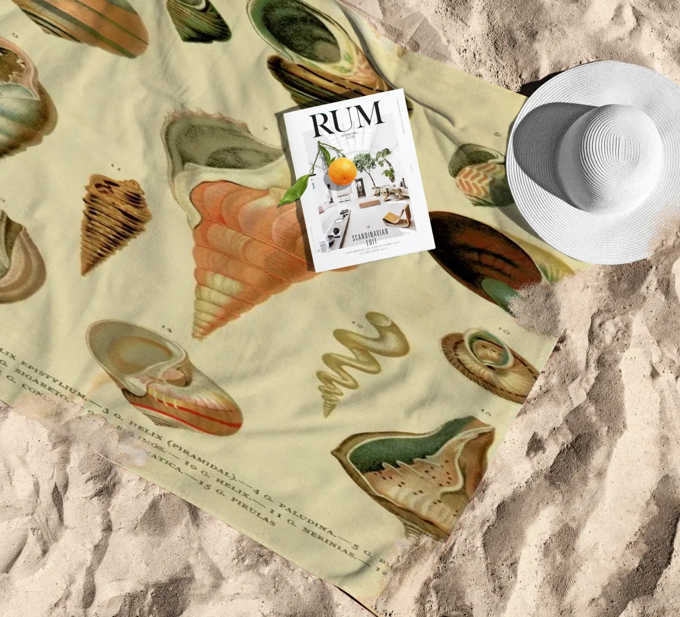 Mollusc Shells serviette de plage de Flora & Fauna