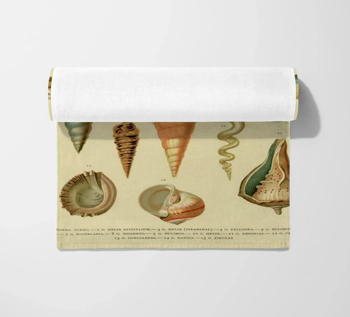Mollusc Shells strandhanddoek van Flora & Fauna