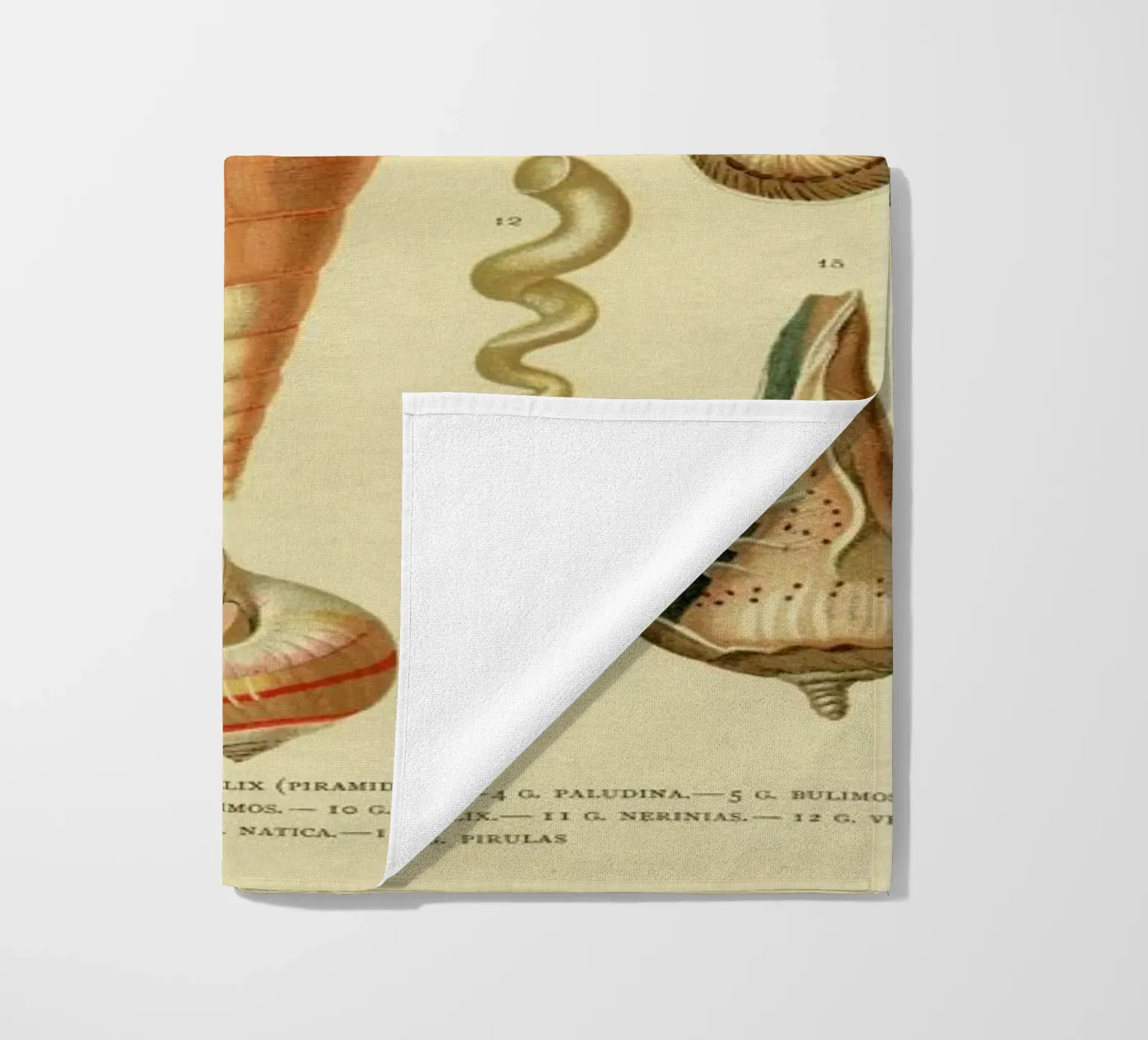 Mollusc Shells serviette de plage de Flora & Fauna