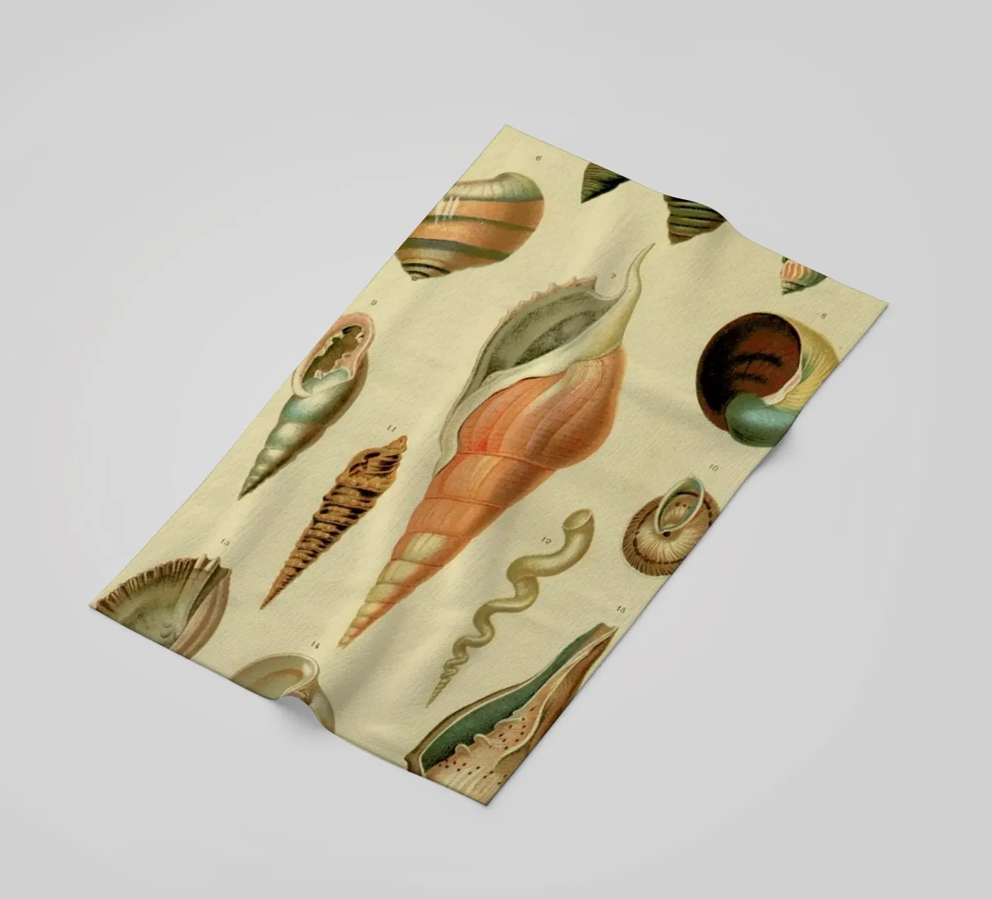 Mollusc Shells strandhanddoek van Flora & Fauna
