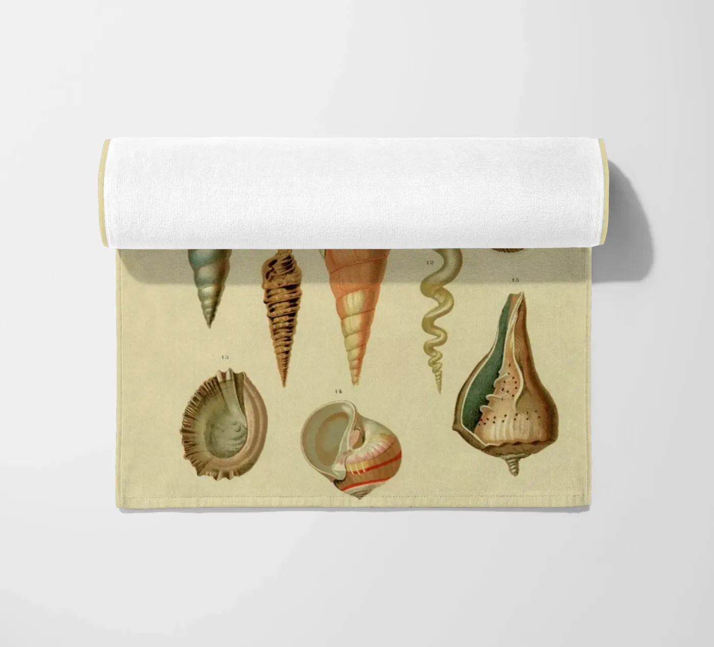 Mollusc Shells strandhanddoek van Flora & Fauna
