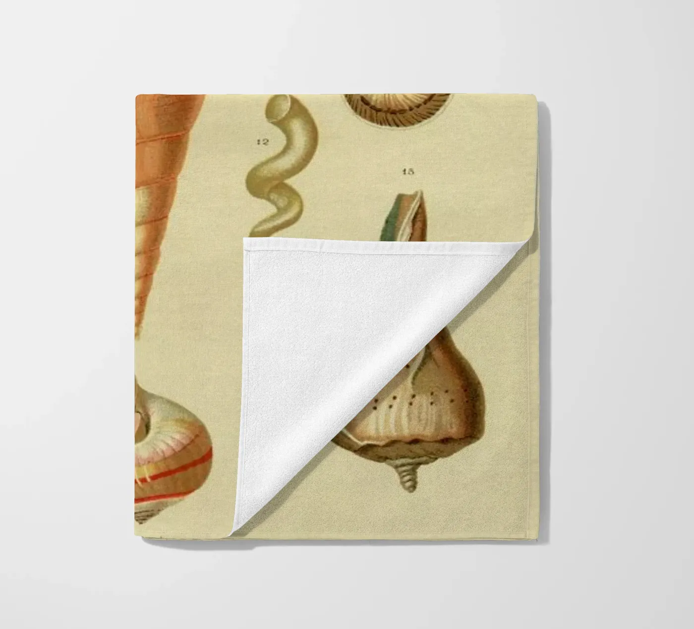 Mollusc Shells serviette de plage de Flora & Fauna