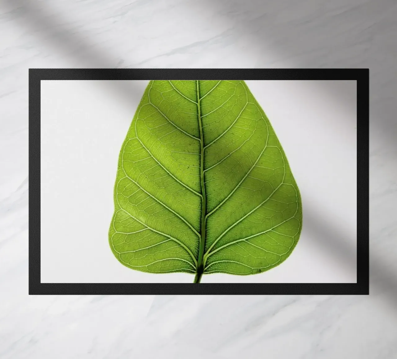 Religiosa zerbino da Shot By Clint