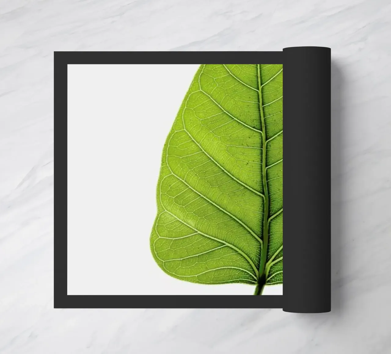 Religiosa zerbino da Shot By Clint