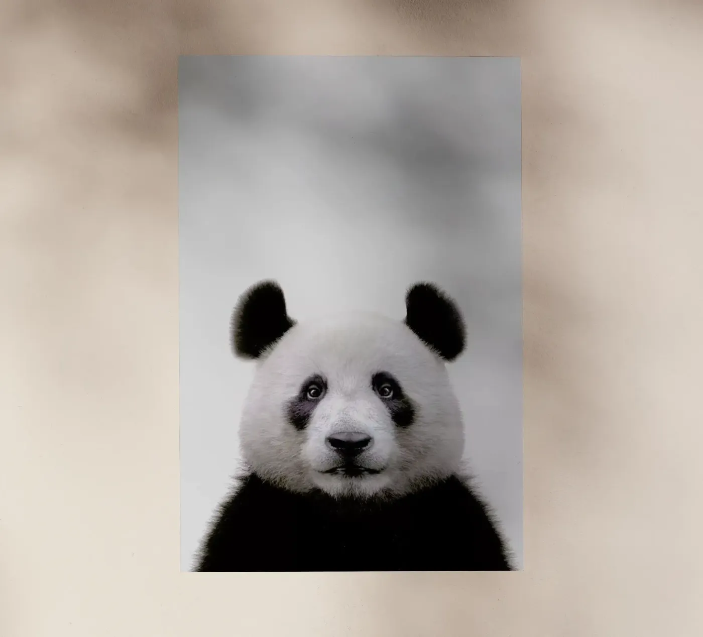 Panda pellicola backlit da Paws & Claws