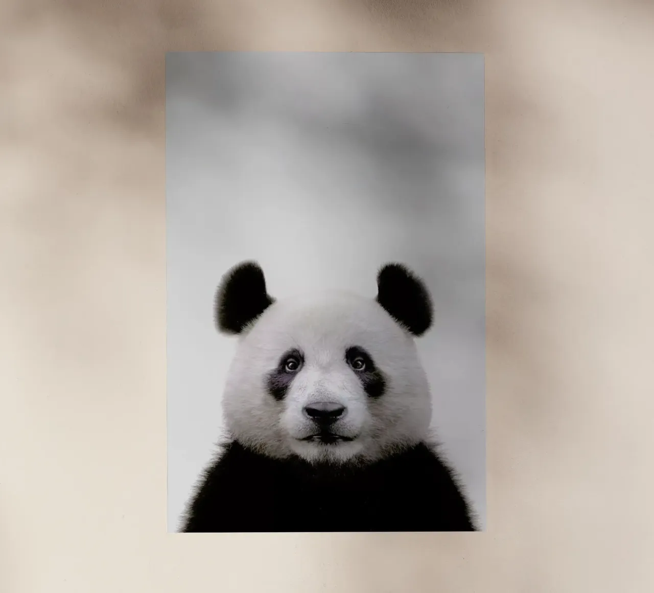 Panda pellicola backlit da Paws & Claws