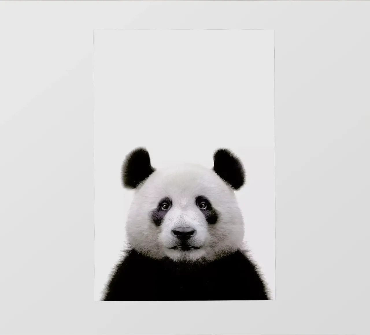 Panda pellicola backlit da Paws & Claws