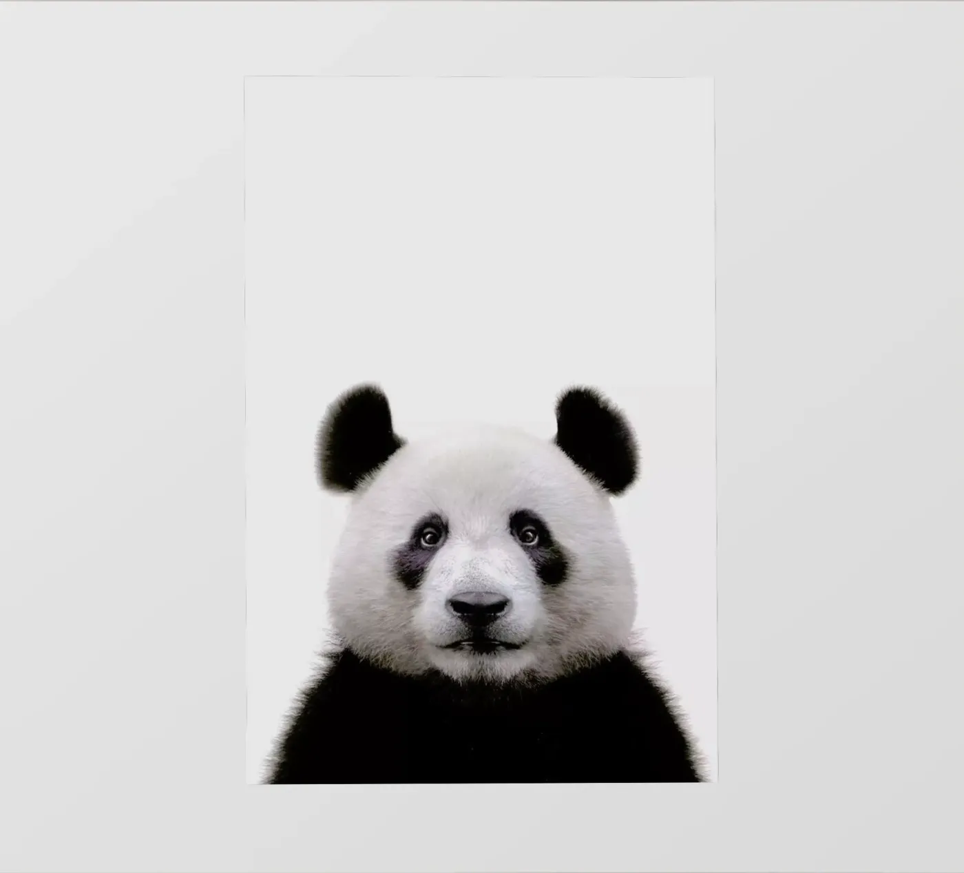 Panda pellicola backlit da Paws & Claws