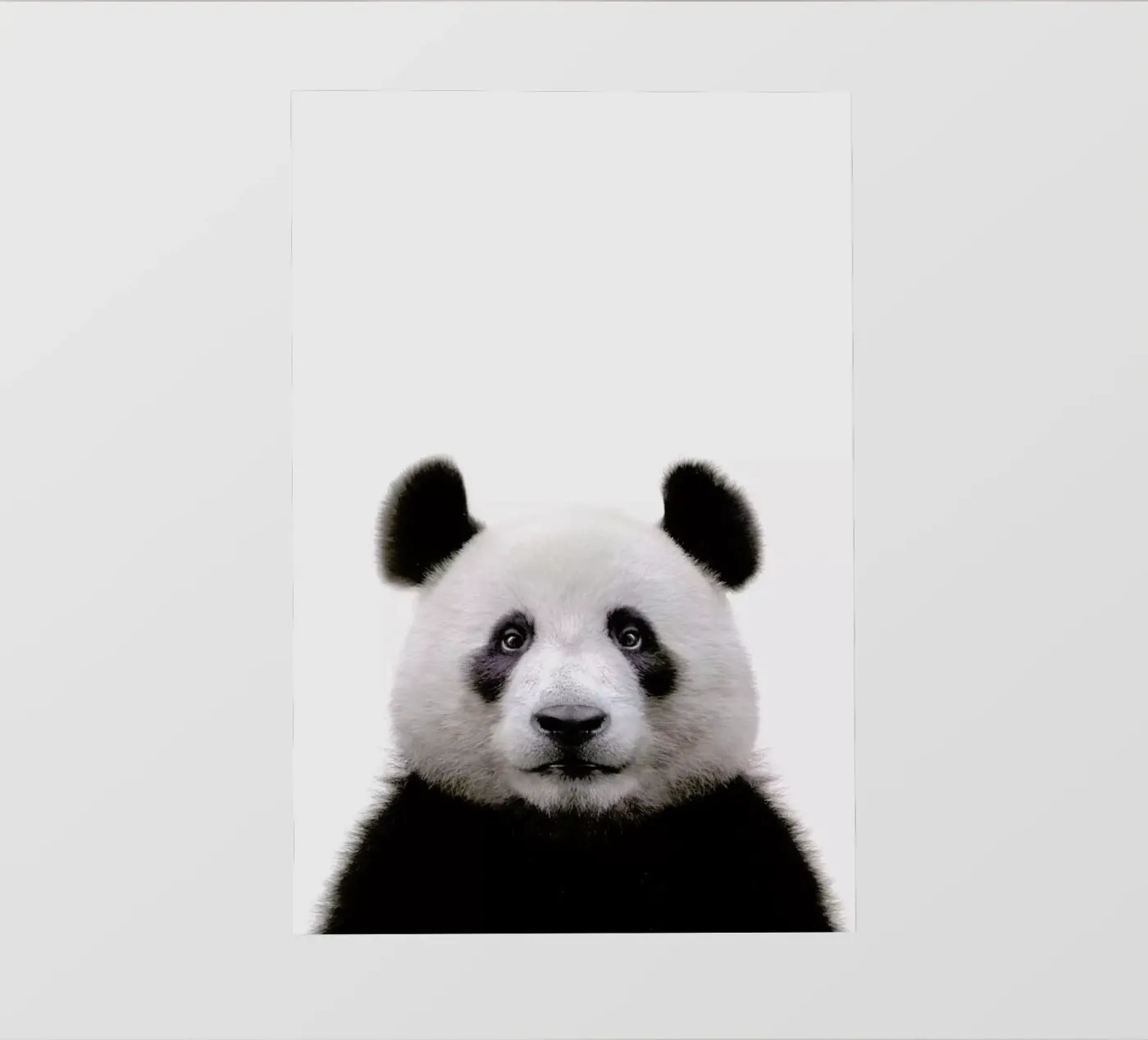 Panda pellicola backlit da Paws & Claws