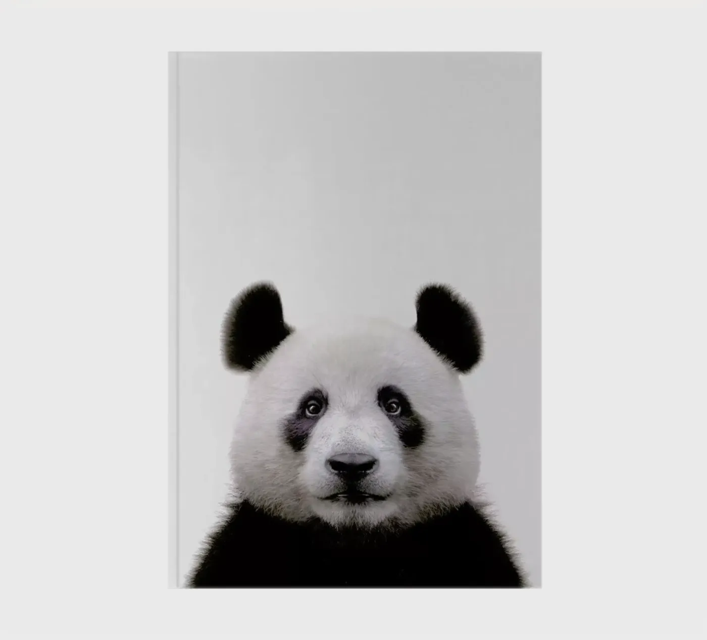 Panda notebook by Paws & Claws