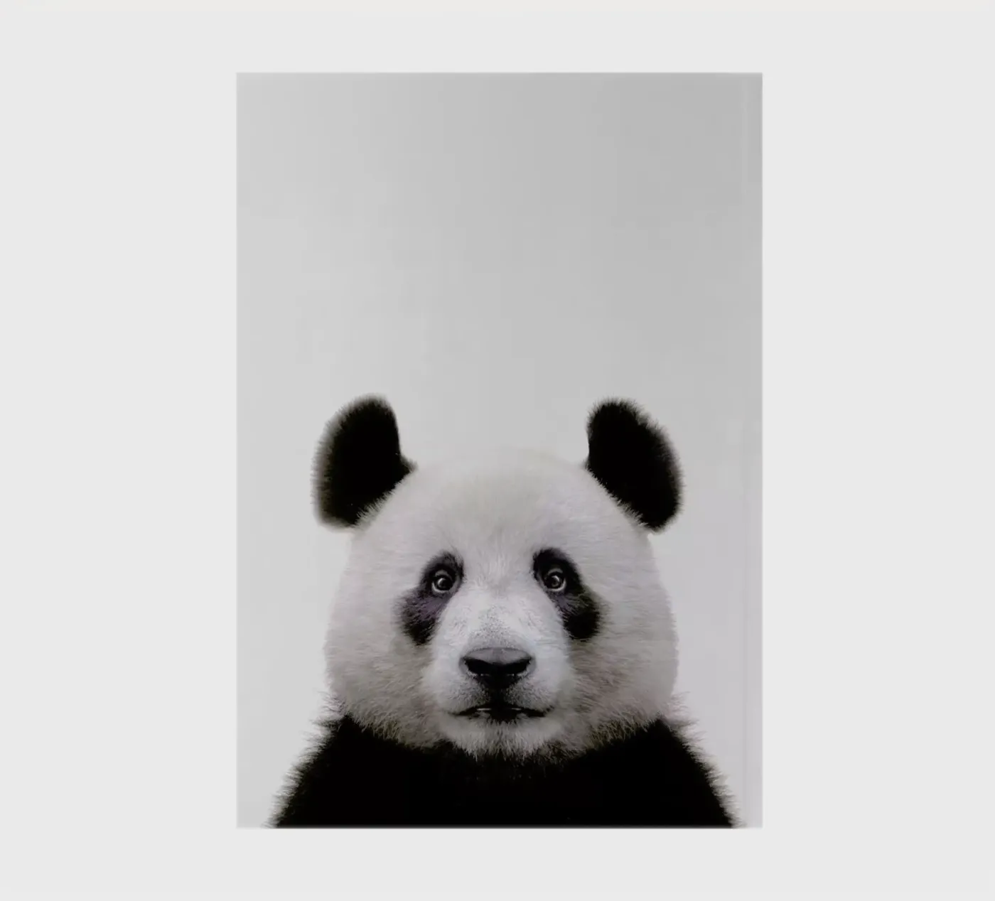 Panda notebook by Paws & Claws