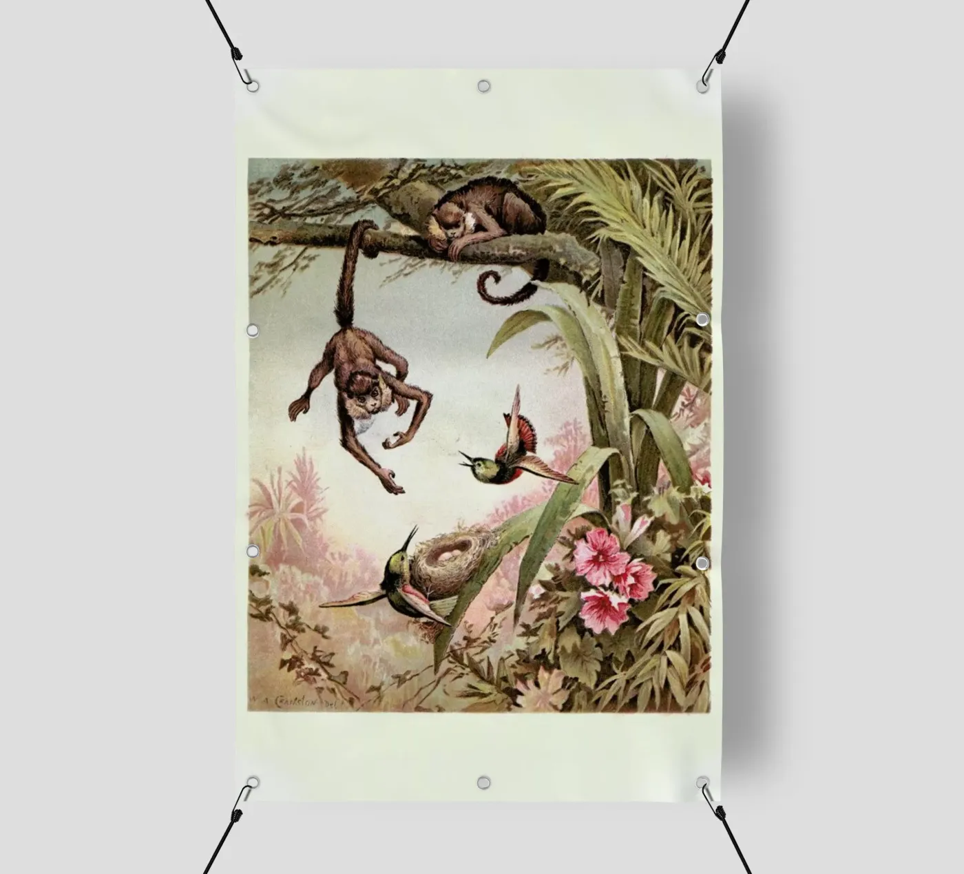 Monkeys telo in pvc da Flora & Fauna