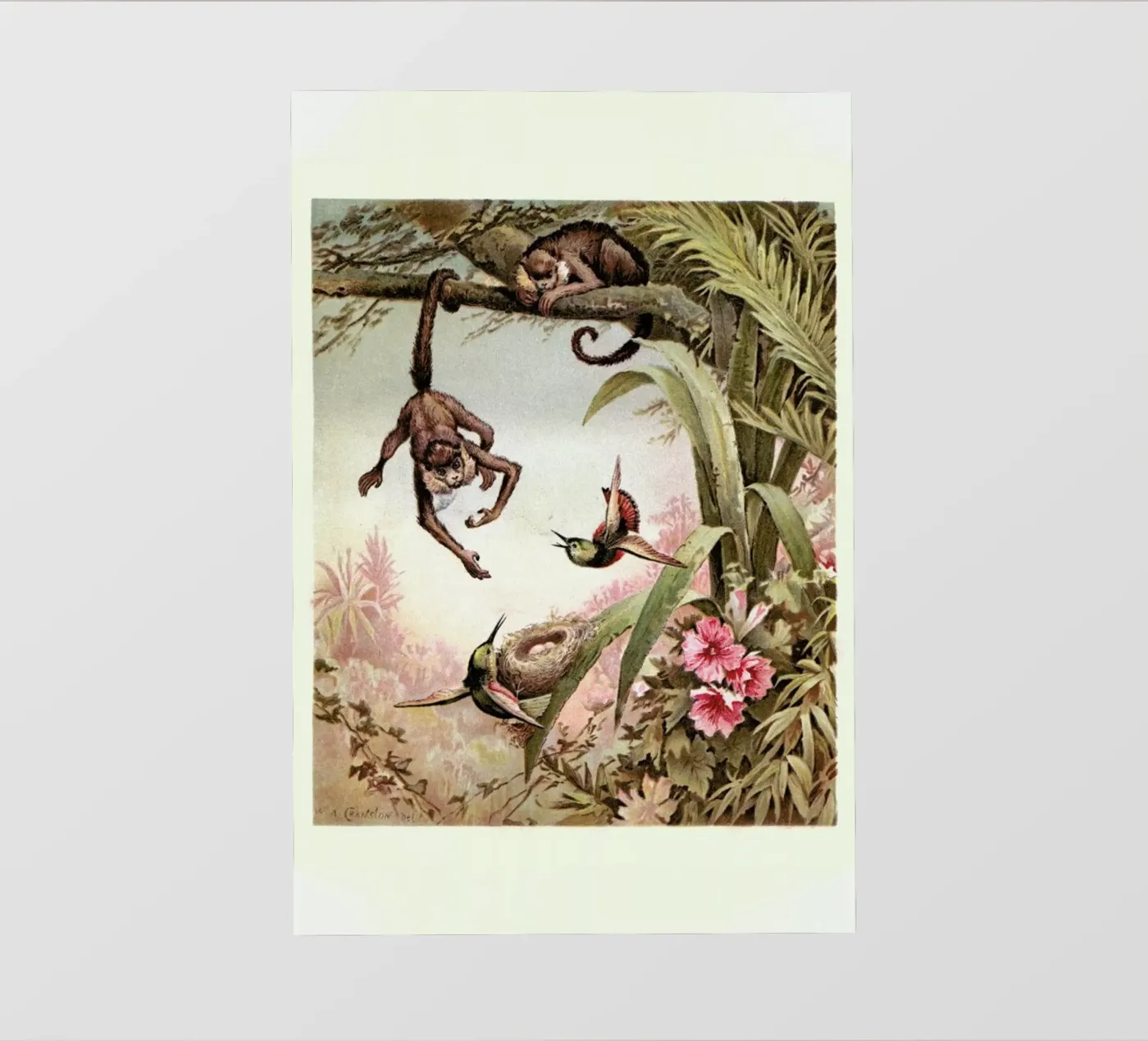 Monkeys telo in pvc da Flora & Fauna