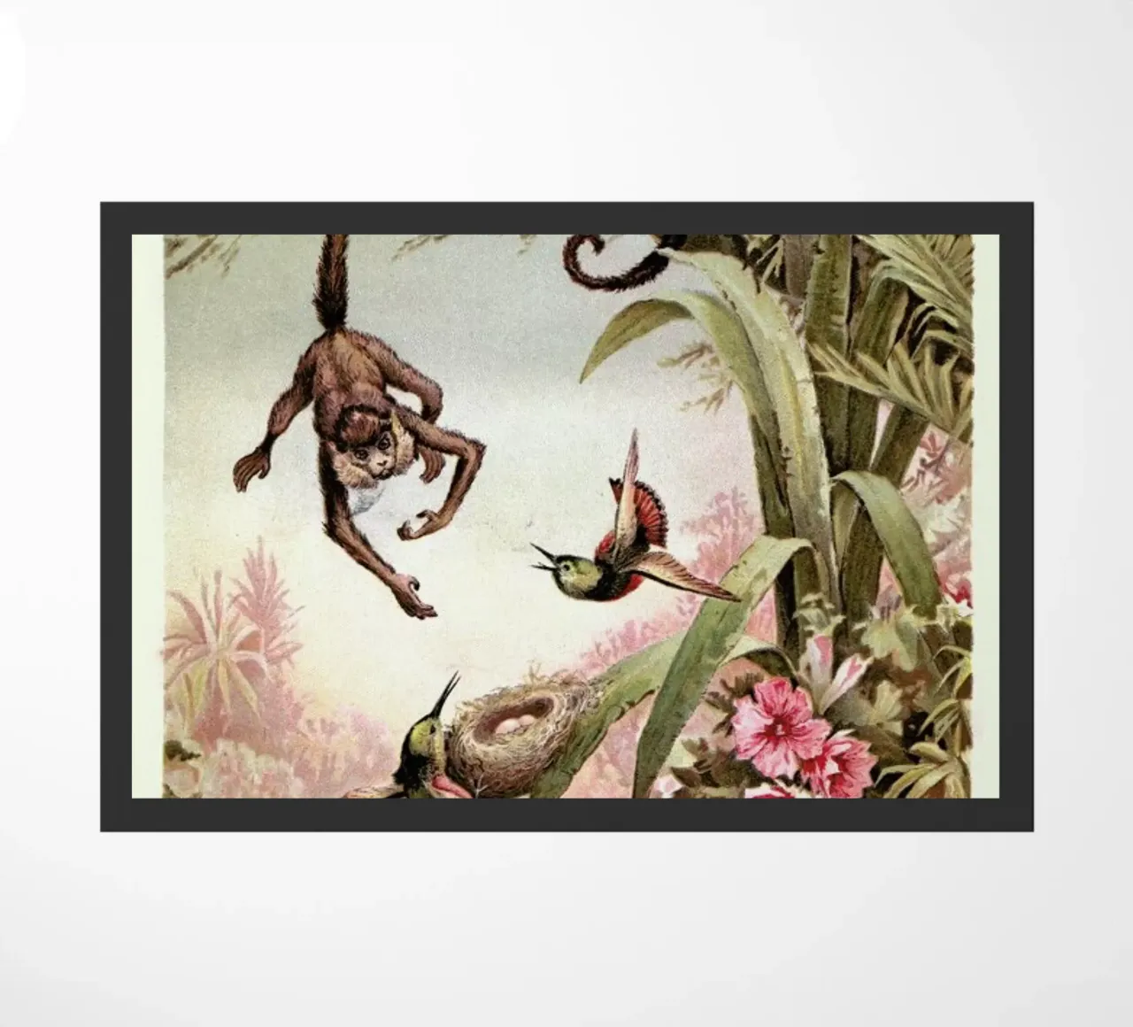 Monkeys zerbino da Flora & Fauna