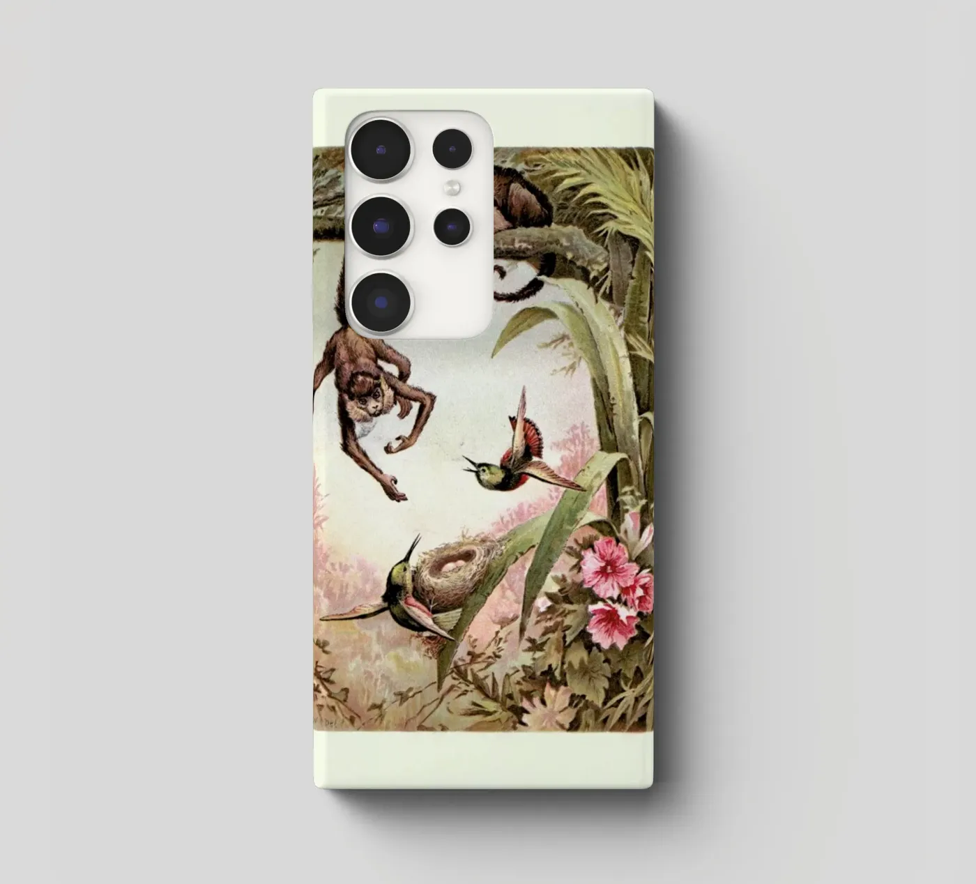 Monkeys cover samsung da Flora & Fauna