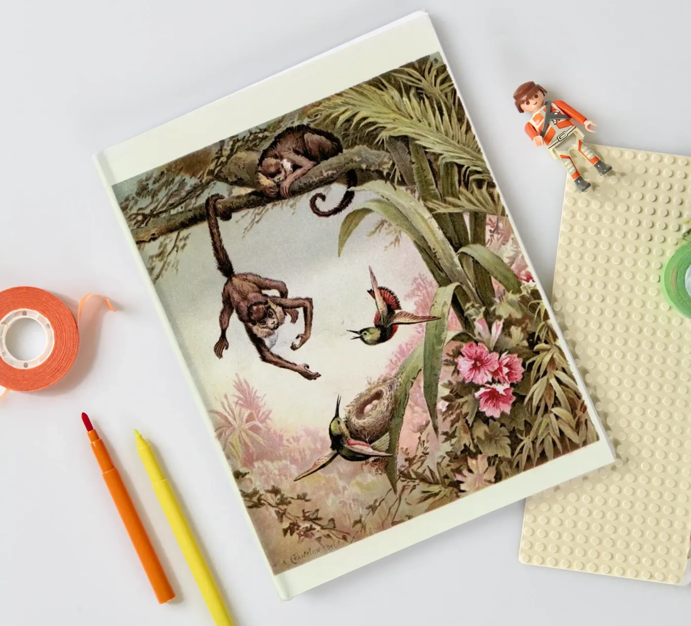 Monkeys notebook by Flora & Fauna