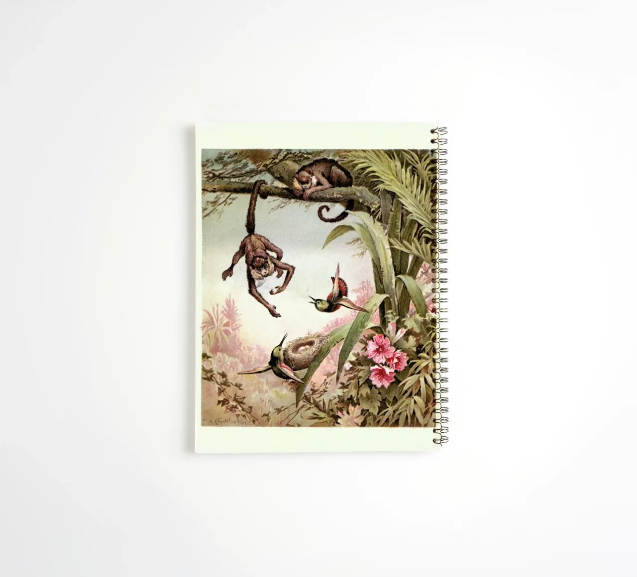 Monkeys spiral notebook by Flora & Fauna