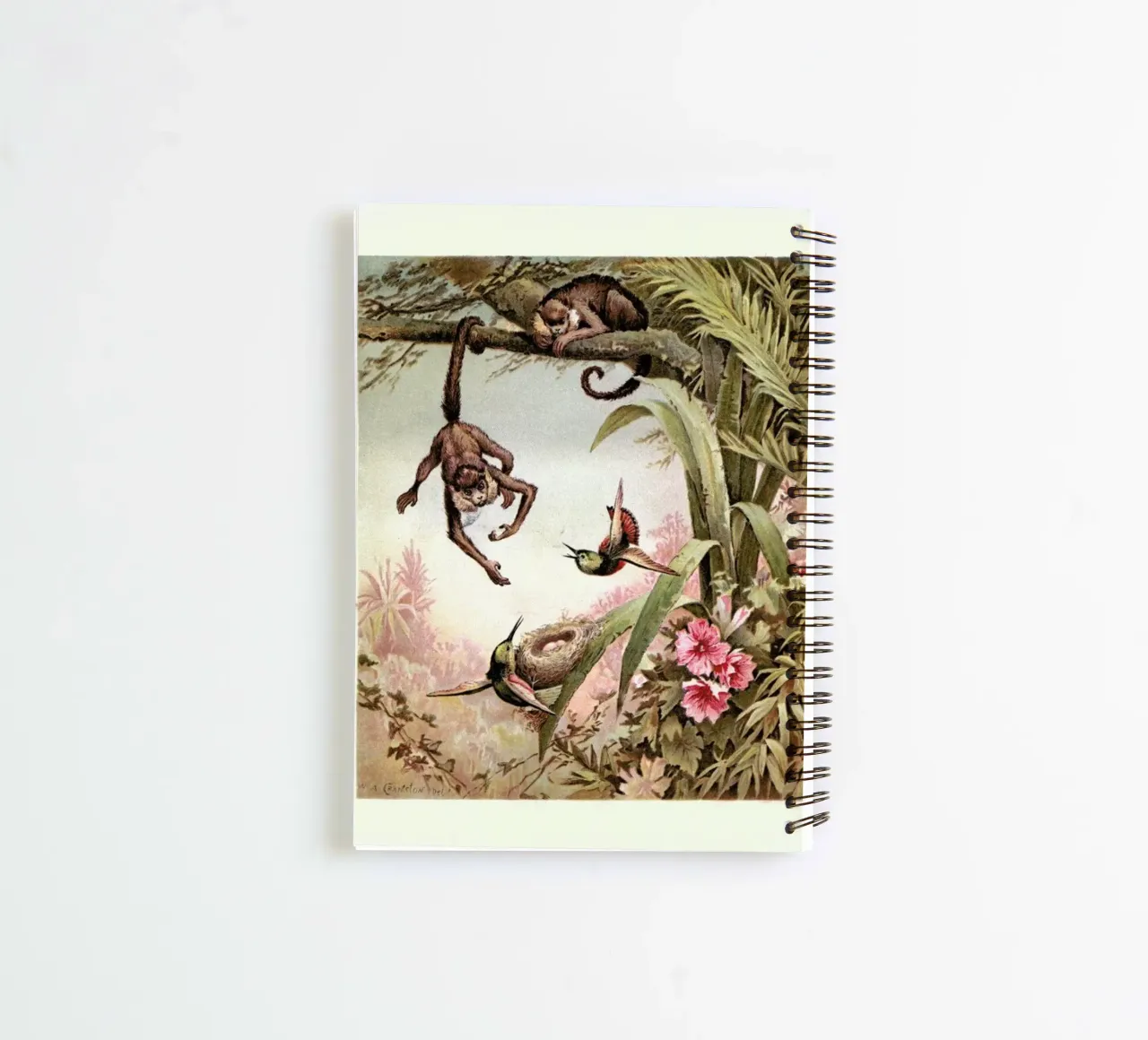 Monkeys spiral notebook by Flora & Fauna