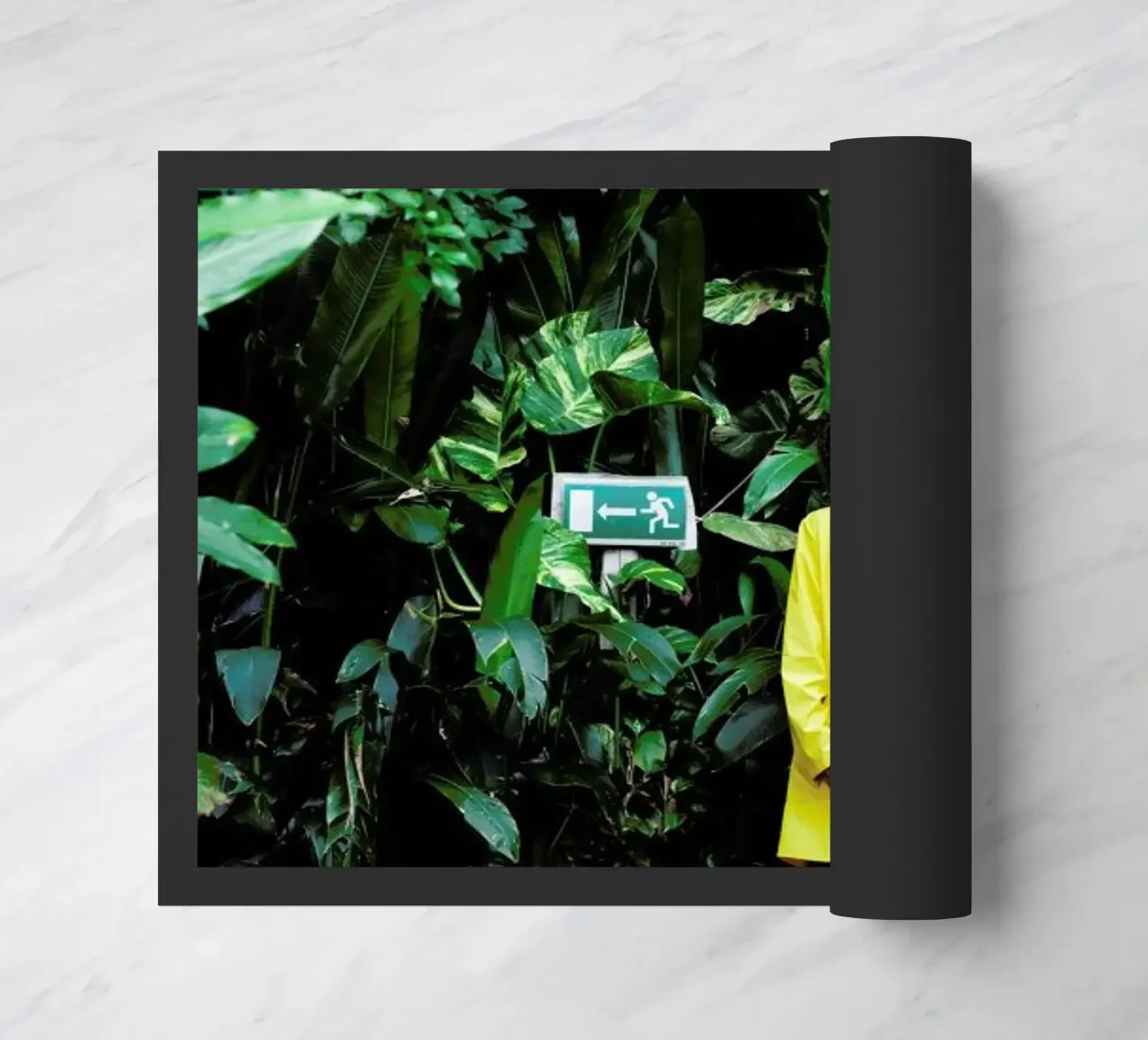 Exit zerbino da I Love Travel GmbH