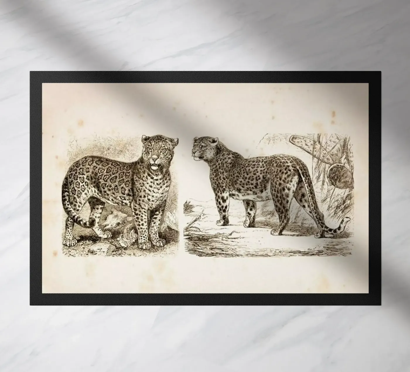Jaguars Fußmatte von Flora & Fauna