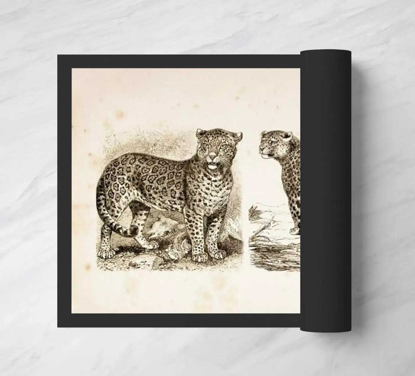 Jaguars Fußmatte von Flora & Fauna
